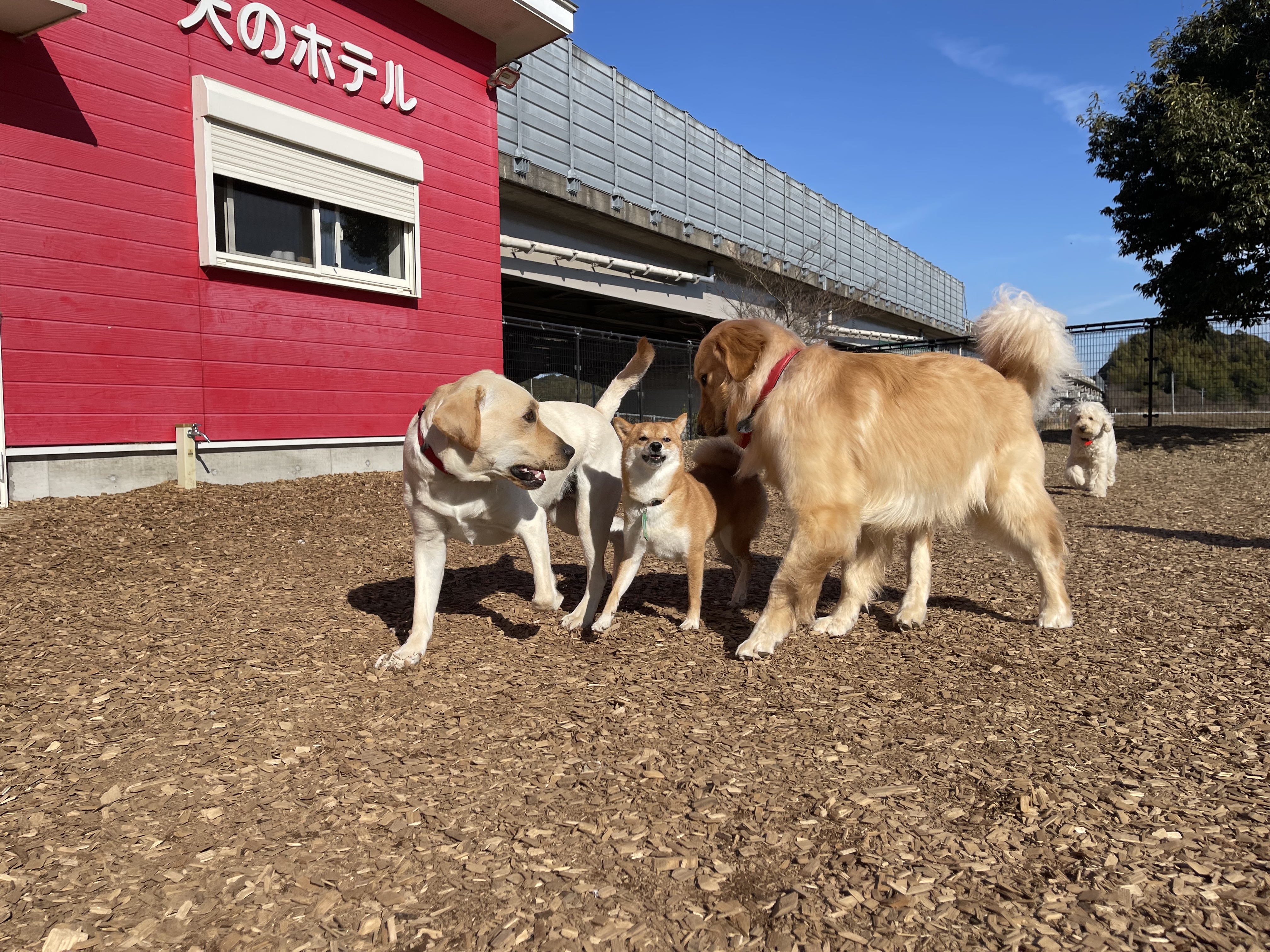 初めてご利用される方へ