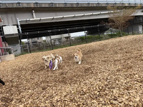 おうちホテルの様子