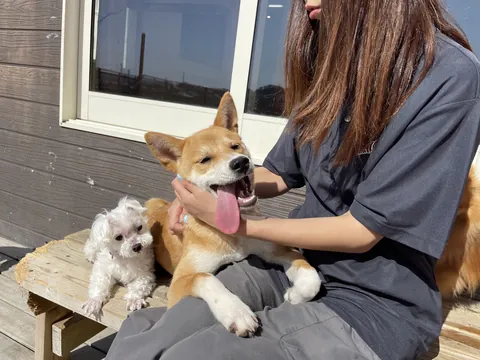おうちホテルの様子