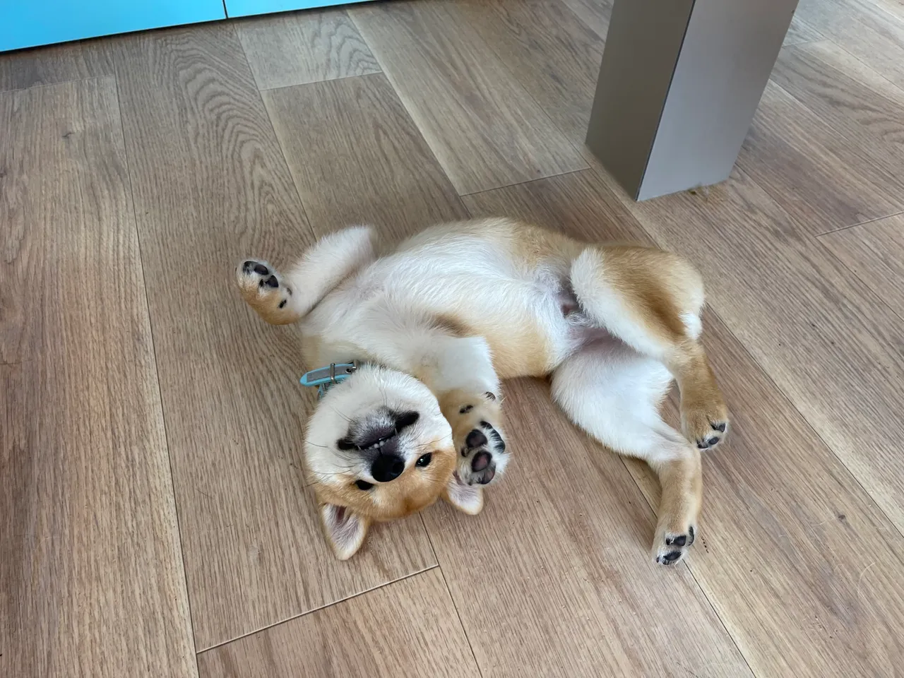 長期お預かりについて