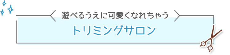 遊べるうえに可愛くなれちゃう トリミングサロン