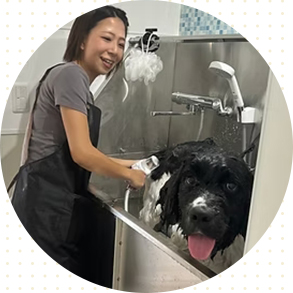 小型犬から超大型犬まで!広々くつろげるドッグバス♪